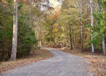 Do Alabama’s Roads Really Reign Supreme in America?