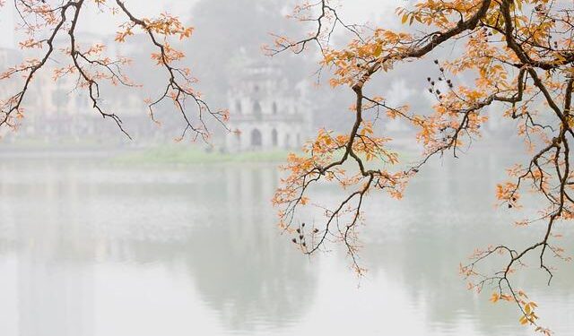 Governor Newsom Proposes Groundbreaking 28th Amendment to Combat Gun Violence in America