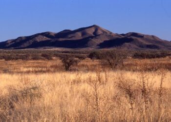 Southern Arizona Voters Gear Up to Decide Grijalva’s Successor in Pivotal U.S. House Race