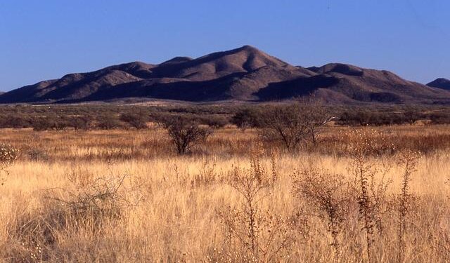 Southern Arizona Voters Gear Up to Decide Grijalva’s Successor in Pivotal U.S. House Race