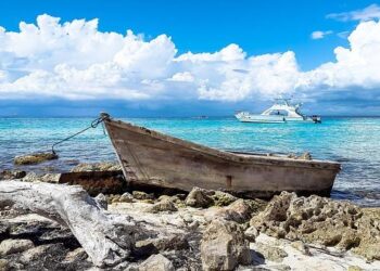 Rep. Ivey’s Dramatic Comeback from El Salvador: Access Denied to Constituents Ignites Fury!