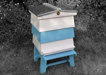 Thrilling Showdown Ahead: US Takes on Venezuela in a High-Stakes WBC Final!