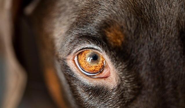 Uncover the Best Employers Across Every State!