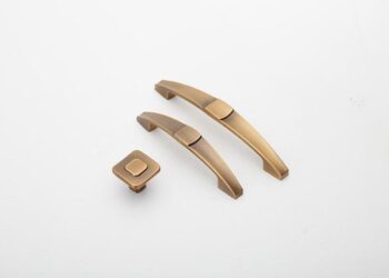 Transforming Tomorrow: President Sagasti’s Bold Vision for Peru and Latin America’s Future