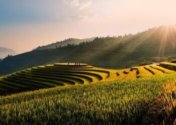 Stay Prepared: Experience Real-Time Weather Radar for Le Lamentin and Marin, Martinique!