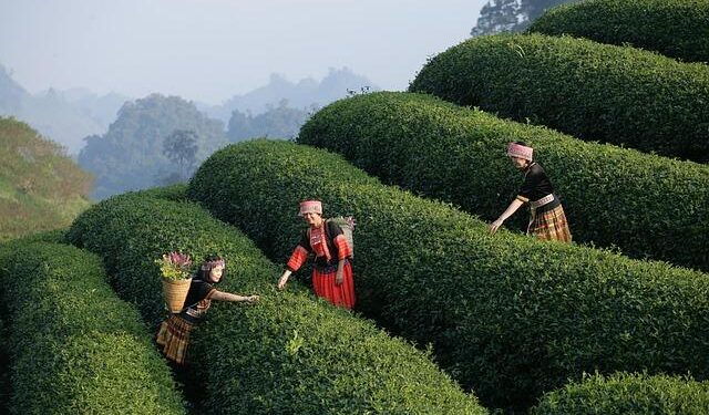 Revolutionizing Banking: Embracing a New Era in Latin America