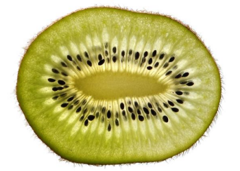 Decoding the USTR’s Section 301 Action on Nicaragua: Impacts on Trade and Diplomatic Relations