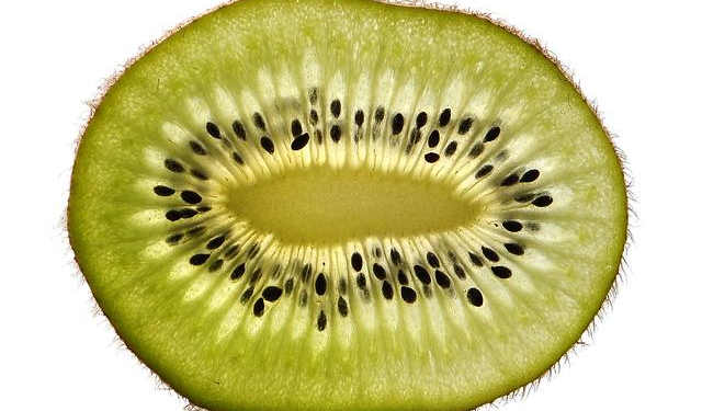 Decoding the USTR’s Section 301 Action on Nicaragua: Impacts on Trade and Diplomatic Relations