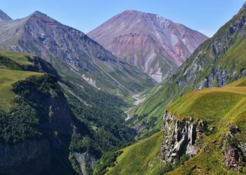After 50 Years in the U.S., Georgia Army Veteran Fights Against Deportation to Jamaica