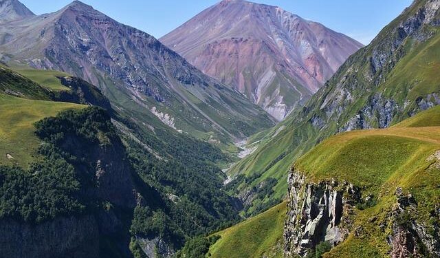 After 50 Years in the U.S., Georgia Army Veteran Fights Against Deportation to Jamaica