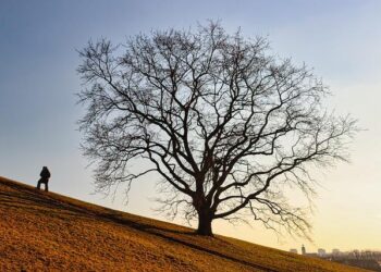 Powell Selected to Represent Team USA at the Olympics!