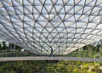 Unveiling the Past: Iconic U.S. Documents Come to Life in Colorado This Spring!