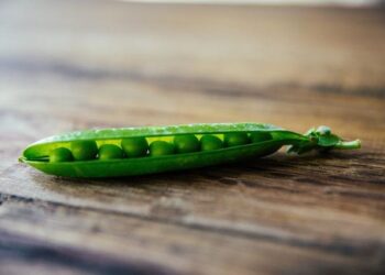 Rachel Sennott’s Airport Drama: The Shocking Cannabis Arrest!