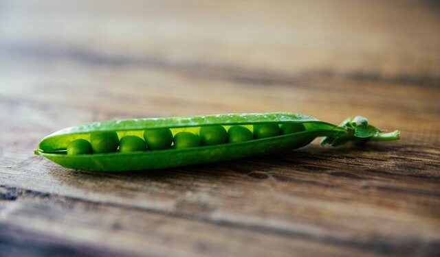 Rachel Sennott’s Airport Drama: The Shocking Cannabis Arrest!