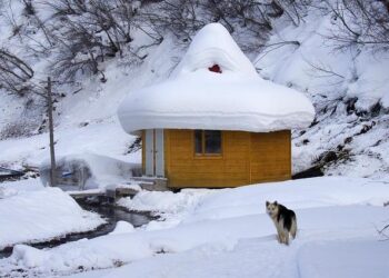Unbelievable Footage: A House Gets Swept Away by a Devastating Typhoon in Alaska!