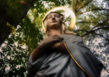 The Virgin Mary: A Beacon of Faith and Identity for Millions of Latinos in the US