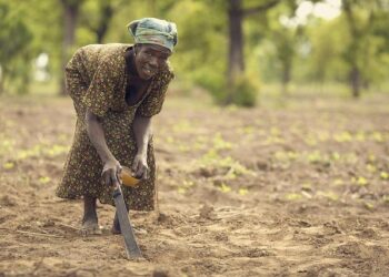 Exciting New Trade Route: Ghana and Colombia Unveil Direct Shipping Partnership!