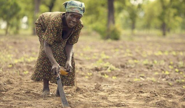 Exciting New Trade Route: Ghana and Colombia Unveil Direct Shipping Partnership!