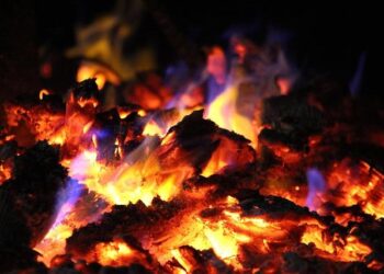 Robert Bisset Steps Up as New CEO of Lockton Re in North America!