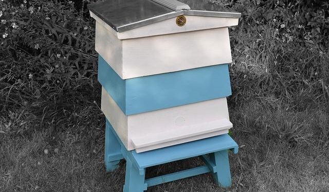 U.S. Dominates Dominican Republic to Claim Final Spot!