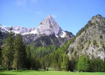 Facing Fear: The Untold Consequences of Trump’s ‘America First’ Agenda During the Panama Hostage Crisis