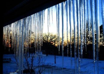 Heartbreaking Shark Attack Takes the Life of Minnesota Woman in the US Virgin Islands