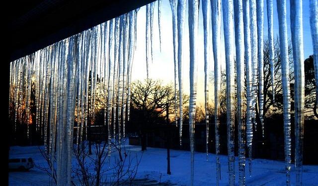 Heartbreaking Shark Attack Takes the Life of Minnesota Woman in the US Virgin Islands