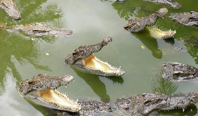 Caribbean Nation Faces Turmoil Amid Rising U.S.-Maduro Tensions