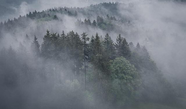 Heartbreaking Drone Strike in Colombia Claims Three Lives and Leaves One Injured