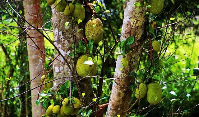 Laura Fernández Triumphs in a Dazzling Costa Rican Victory!
