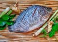 Brazil’s Bold Move: Expanding Tilapia Strategy Across Latin America Amid US Market Challenges