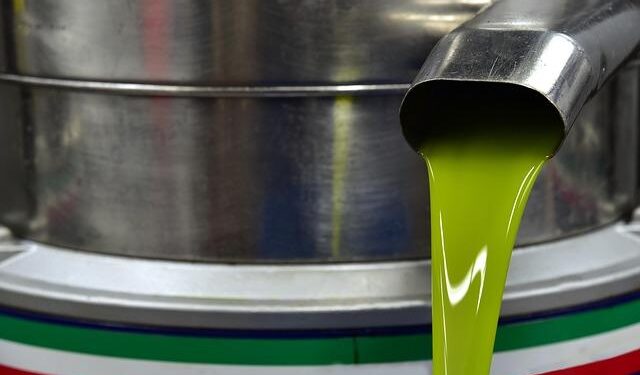 Can Oil Extraction Drive Sustainable Development in Guyana, or Will It Trigger the Resource Curse?