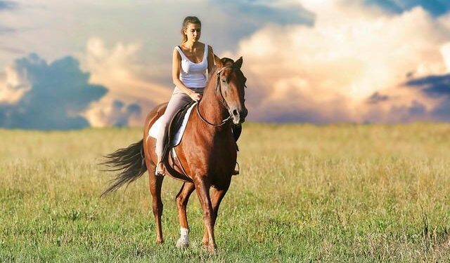 Olivia Cazes: The Fearless Canadian Trailblazer Set to Conquer the Americas on Horseback!