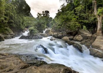 Unlock Your Future: The Ultimate Guide to America’s Top Colleges