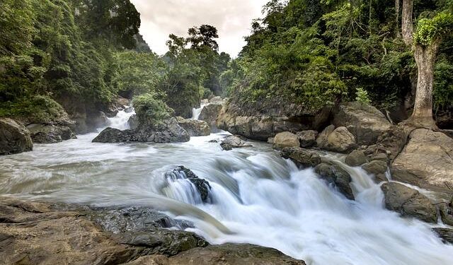 Unlock Your Future: The Ultimate Guide to America’s Top Colleges