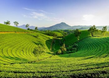 Discovering the Secrets of Soufriere Hills: An Adventure into Volcanic Marvels