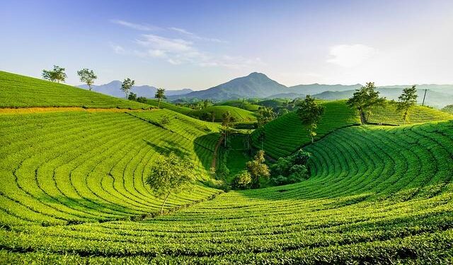 Discovering the Secrets of Soufriere Hills: An Adventure into Volcanic Marvels