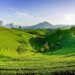 Discovering the Secrets of Soufriere Hills: An Adventure into Volcanic Marvels