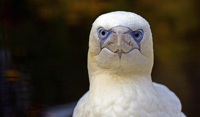 Japan’s Tourism Takes Off: Visa-Free Travel Sparks a Global Adventure!