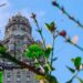 Uruguay Takes a Bold Step: Assisted Dying Legalized After Marathon Debate