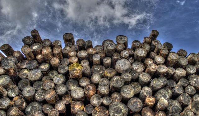 Suriname’s Logging Boom: Forest Communities Battle for Their Land Rights
