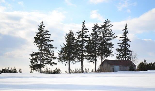 Air Canada Unveils Exciting 16% Capacity Boost for Winter Travel to Latin America in 2025-26!