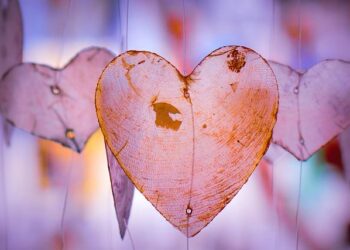 Strengthening Ties: Overcoming Challenges in US-Canada Relations