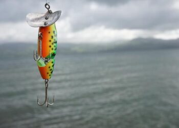 Get Ready for Thrilling Transformations in Costa Rica Sports TV!