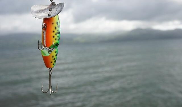 Get Ready for Thrilling Transformations in Costa Rica Sports TV!