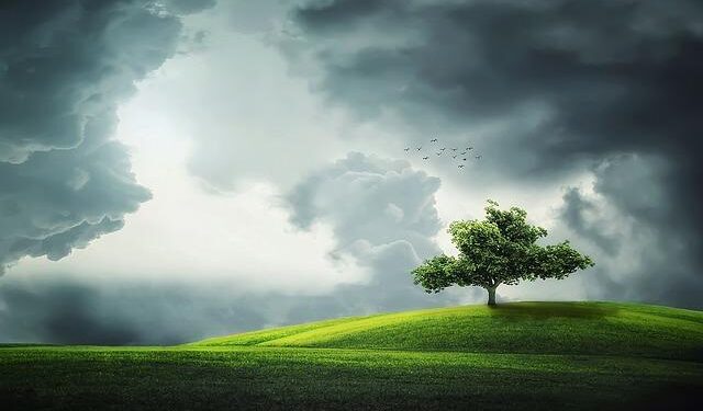 Uncover the Exciting New Weather Trends in Davy Hill, Saint Peter, Montserrat!