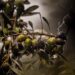Embracing Rain: A Path to a Sustainable Future for Guatemala