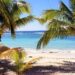 Dominica Opens Its Arms: A Fresh Start for U.S. Deportees