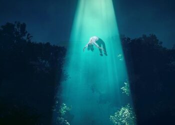 Unpacking the March 3rd Primaries: What Arkansas, North Carolina, and Texas Reveal!