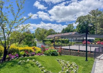 Matías Almeyda’s Exciting Return: Could the ‘Pelado’ Lead Club América?